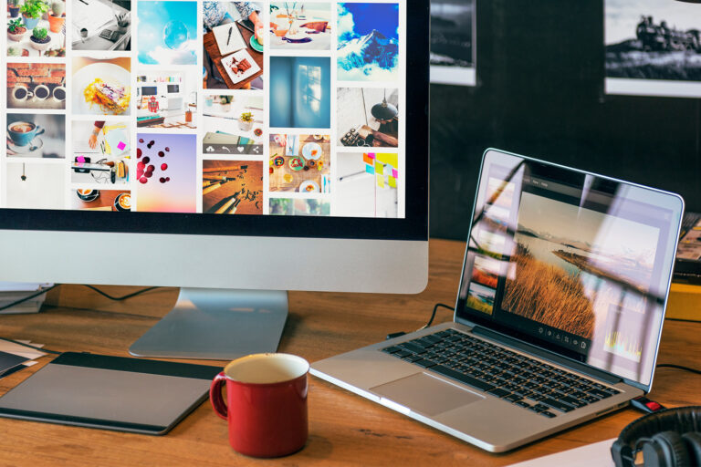 Website Designing & Hosting